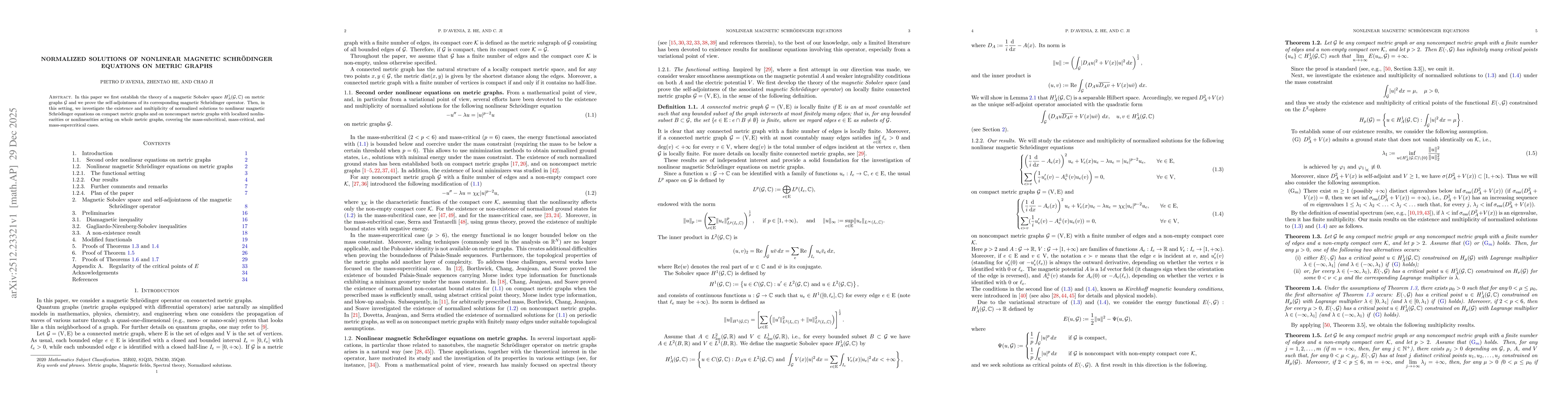 Thumbnail for Normalized solutions of nonlinear magnetic Schrödinger equations on metric graphs