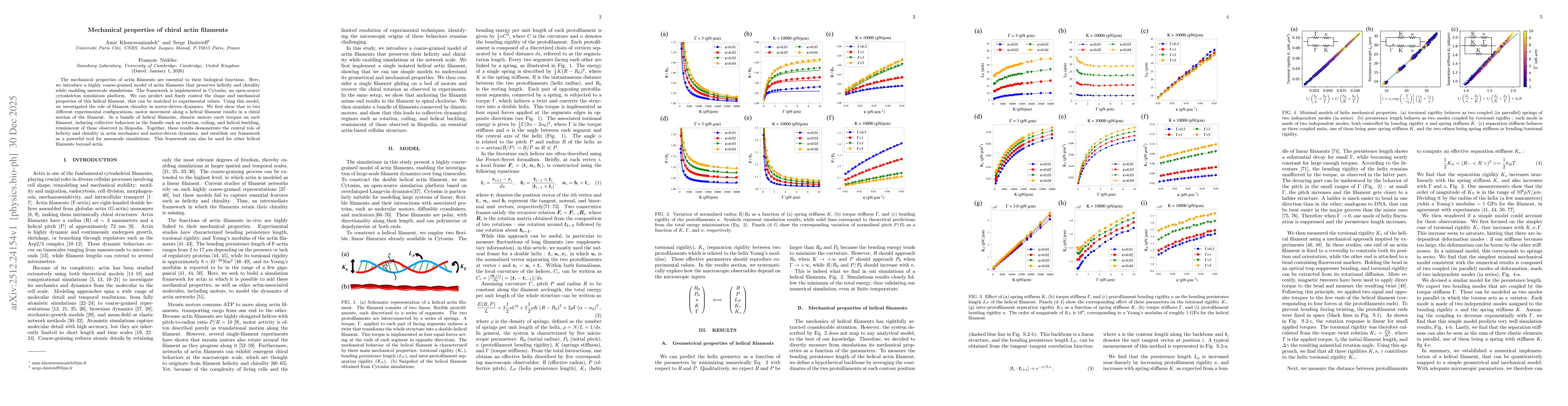 Thumbnail for Mechanical properties of chiral actin filaments