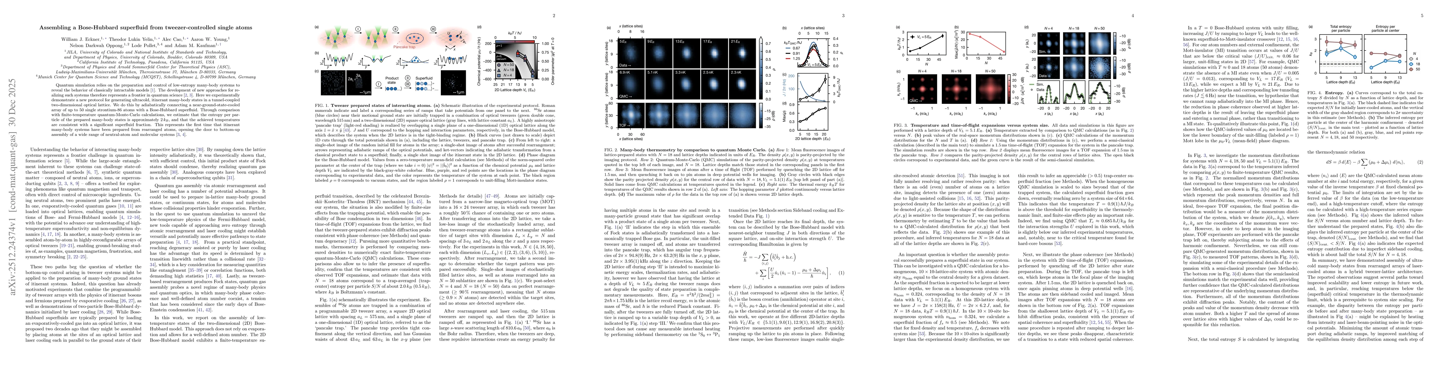 Thumbnail for Assembling a Bose-Hubbard superfluid from tweezer-controlled single atoms
