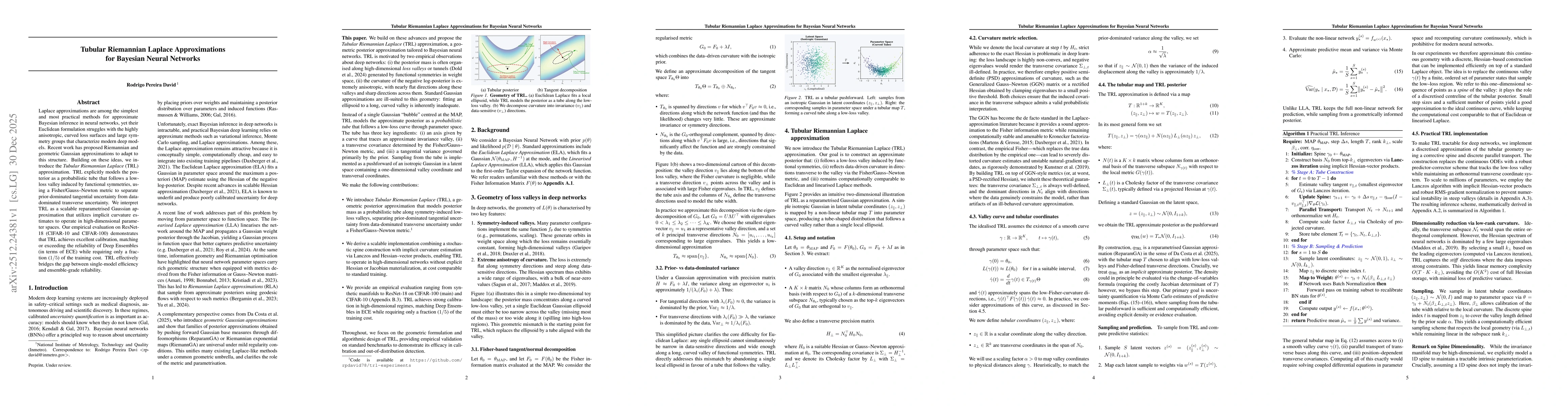 Thumbnail for Tubular Riemannian Laplace Approximations for Bayesian Neural Networks