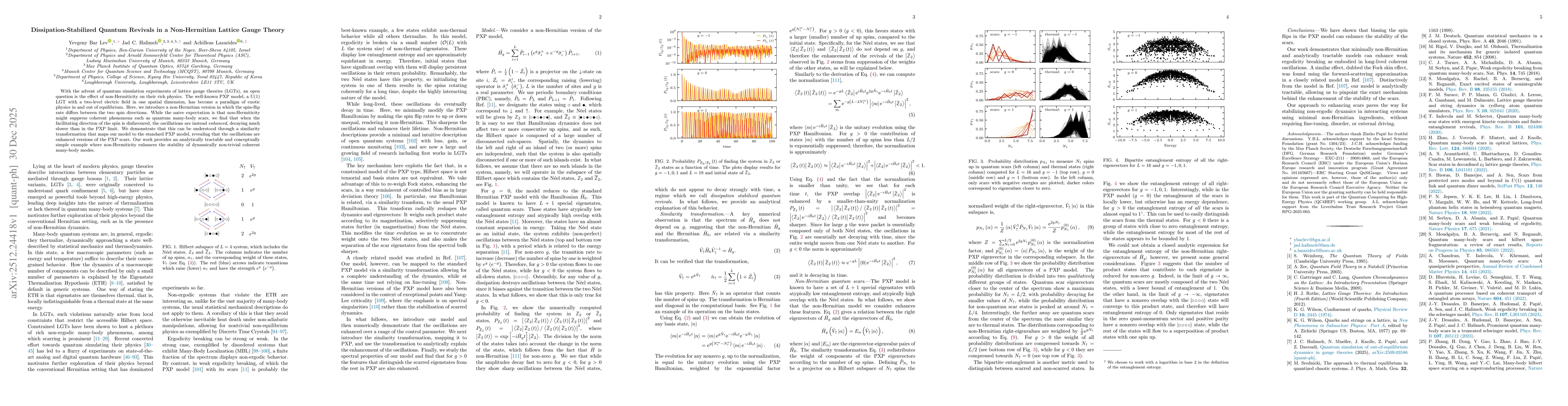 Thumbnail for Dissipation-Stabilized Quantum Revivals in a Non-Hermitian Lattice Gauge Theory