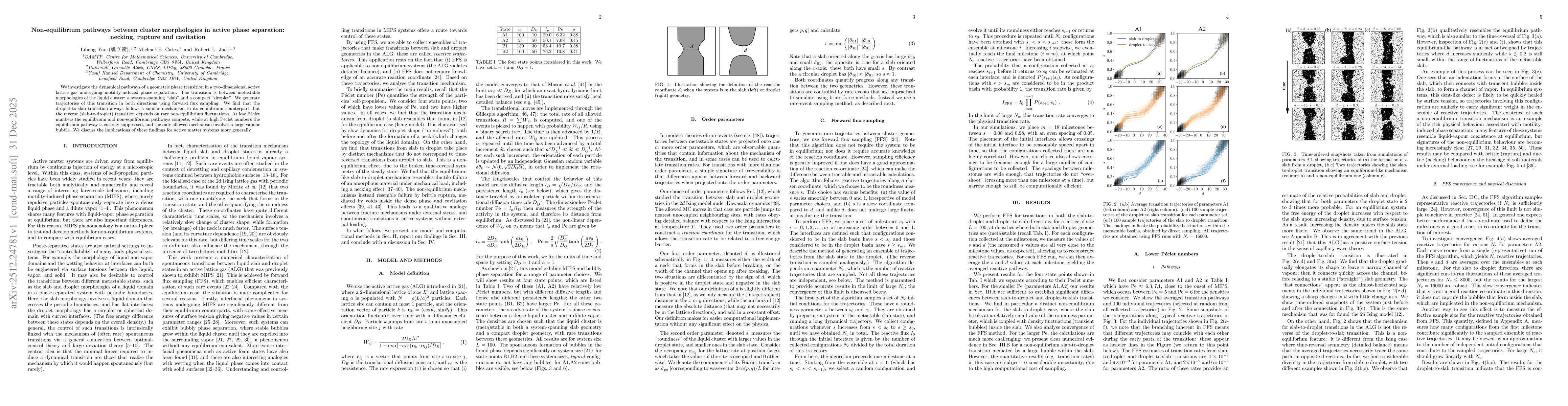 Thumbnail for Non-equilibrium pathways between cluster morphologies in active phase separation: necking, rupture and cavitation