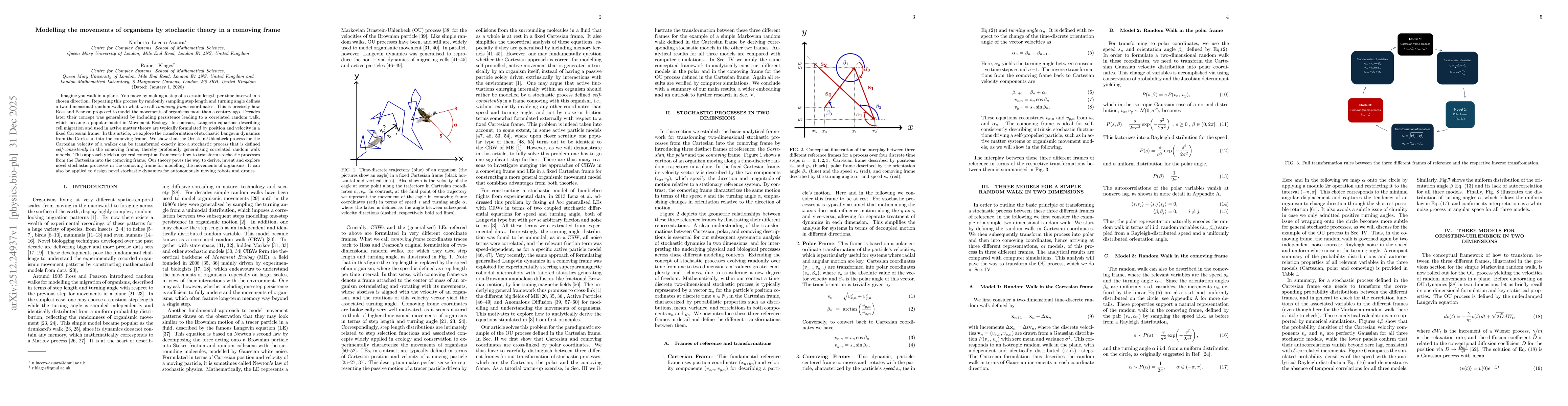 Thumbnail for Modelling the movements of organisms by stochastic theory in a comoving frame