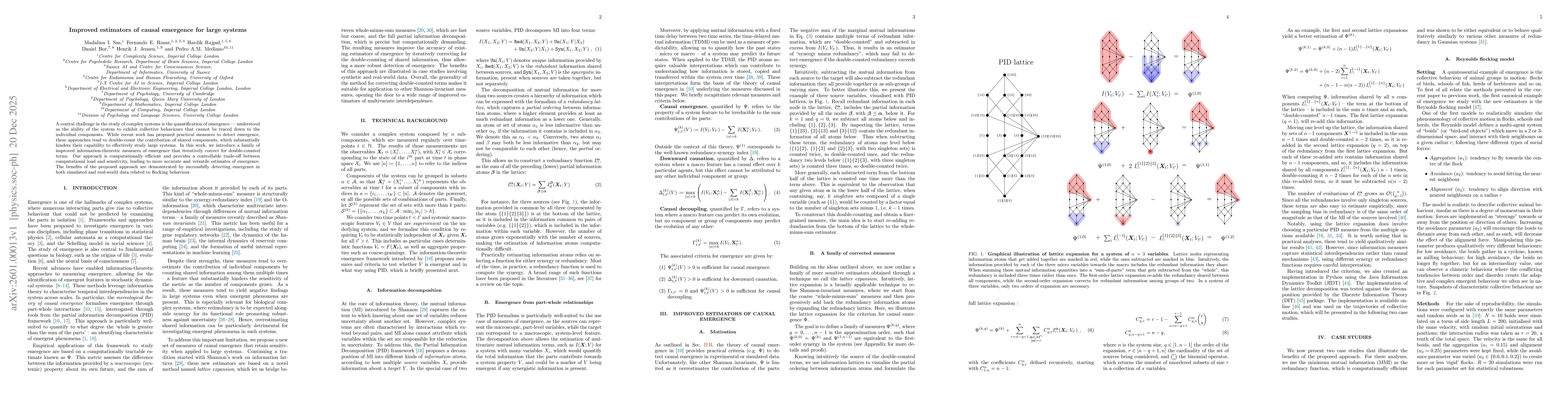 Thumbnail for Improved estimators of causal emergence for large systems