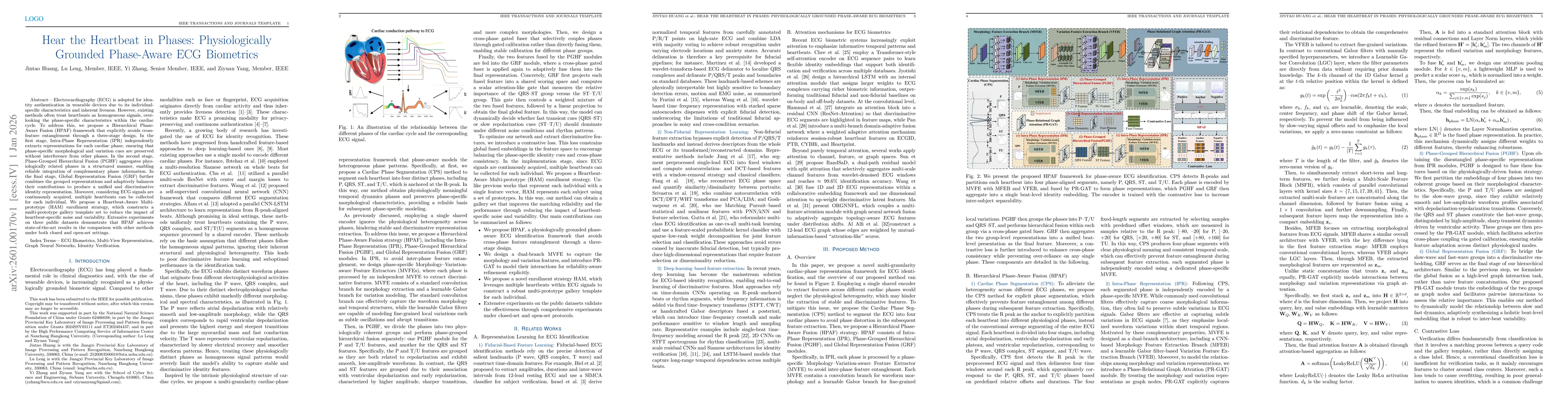 Thumbnail for Hear the Heartbeat in Phases: Physiologically Grounded Phase-Aware ECG Biometrics