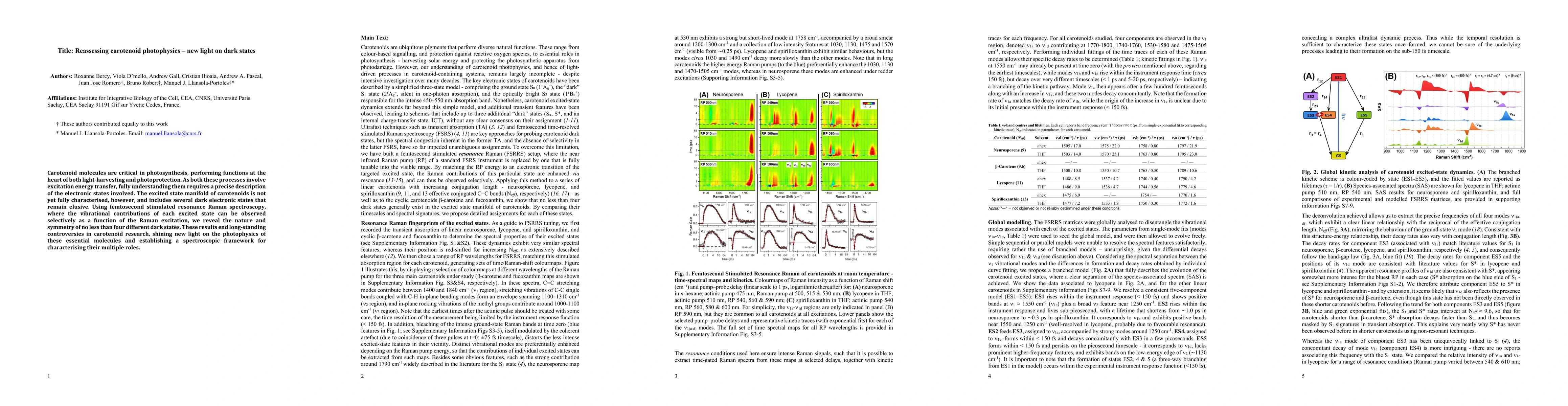 Thumbnail for Reassessing carotenoid photophysics -- new light on dark states