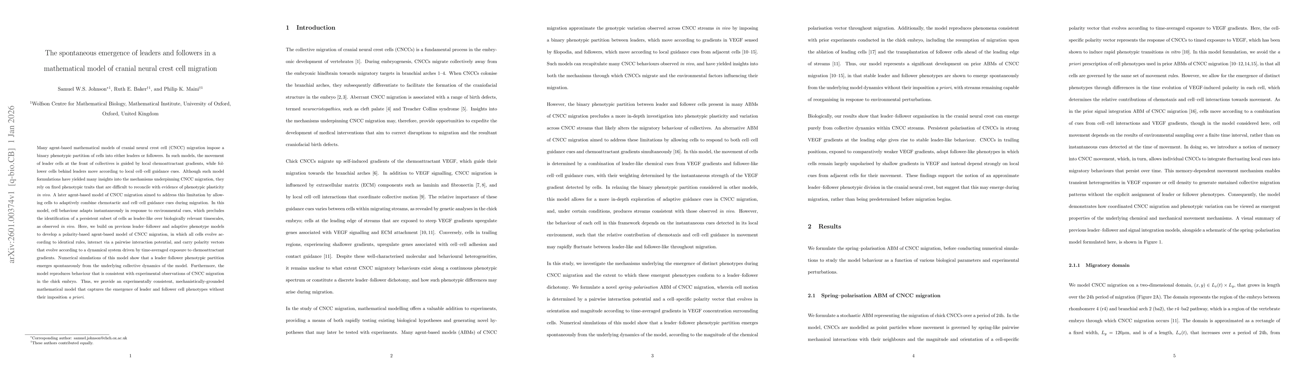 Thumbnail for The spontaneous emergence of leaders and followers in a mathematical model of cranial neural crest cell migration