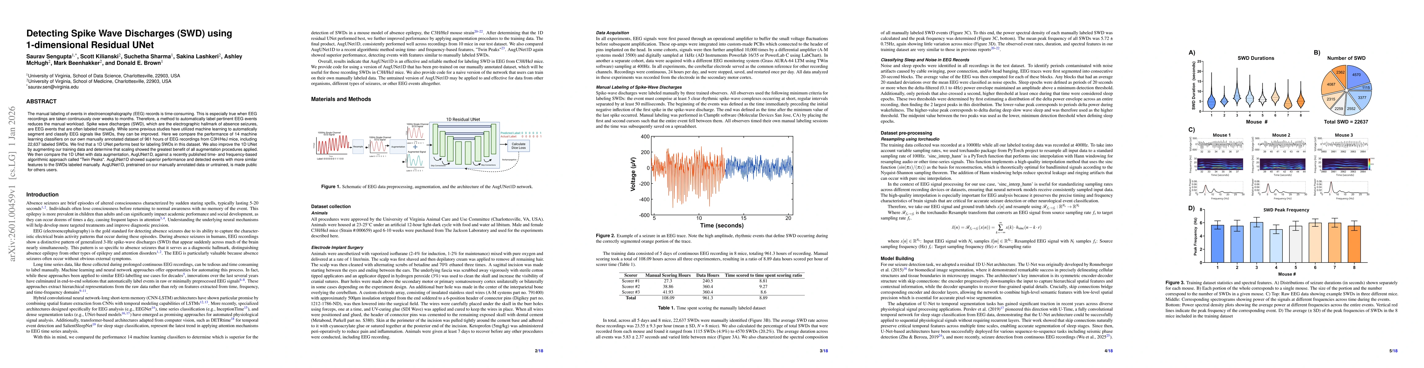 Thumbnail for Detecting Spike Wave Discharges (SWD) using 1-dimensional Residual UNet