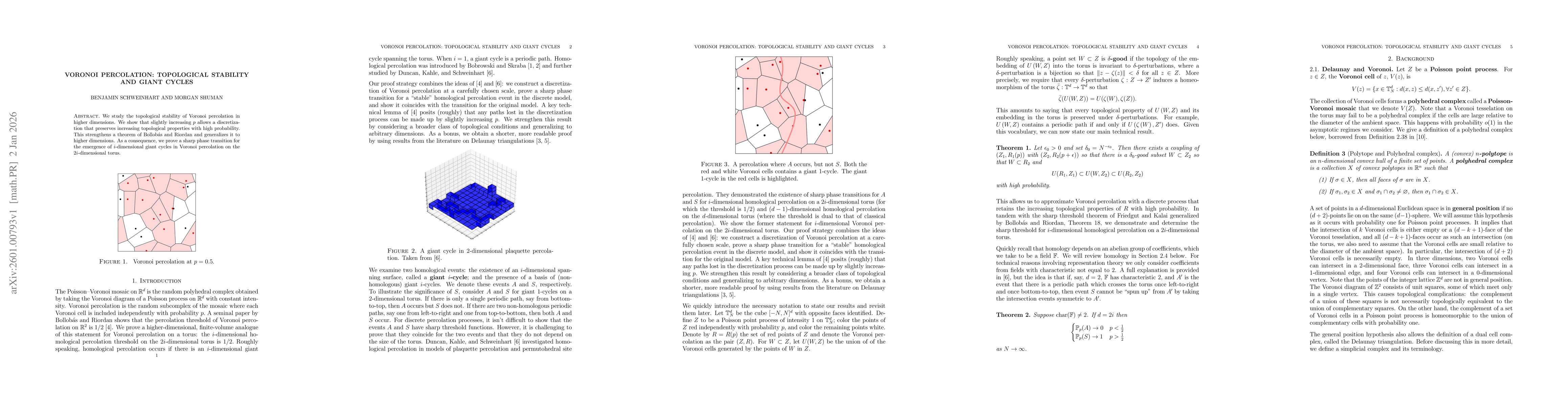 Thumbnail for Voronoi Percolation: Topological Stability and Giant Cycles