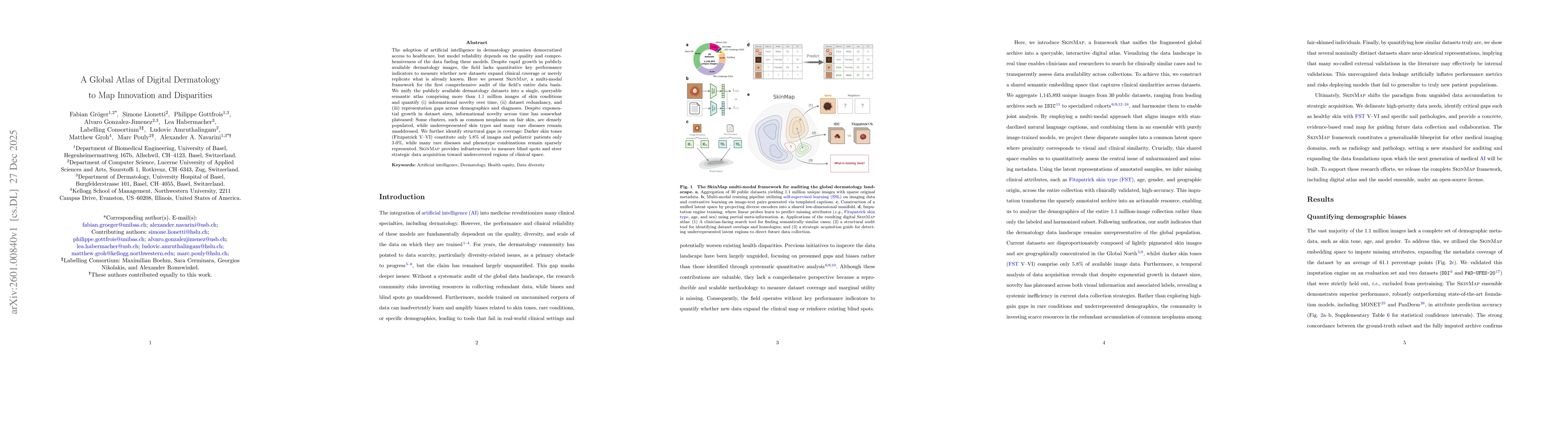 Thumbnail for A Global Atlas of Digital Dermatology to Map Innovation and Disparities