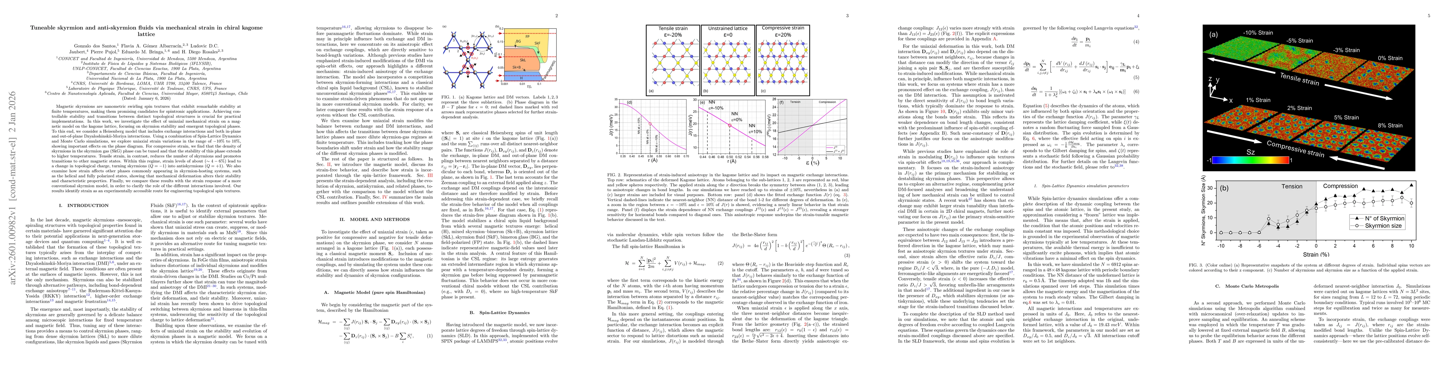 Thumbnail for Tuneable skyrmion and anti-skyrmion fluids via mechanical strain in chiral kagome lattice