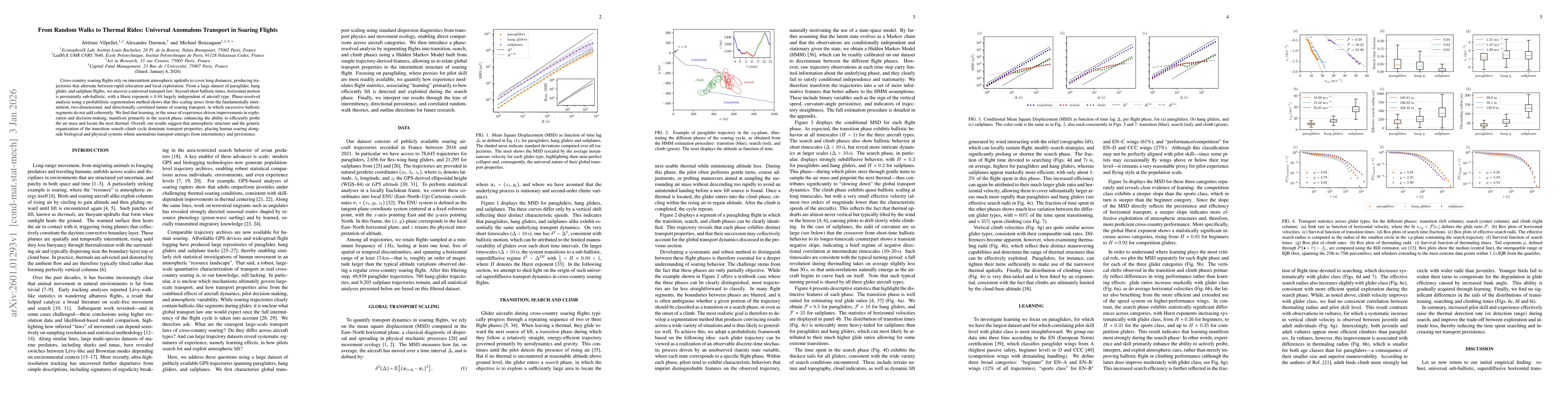 Thumbnail for From Random Walks to Thermal Rides: Universal Anomalous Transport in Soaring Flights