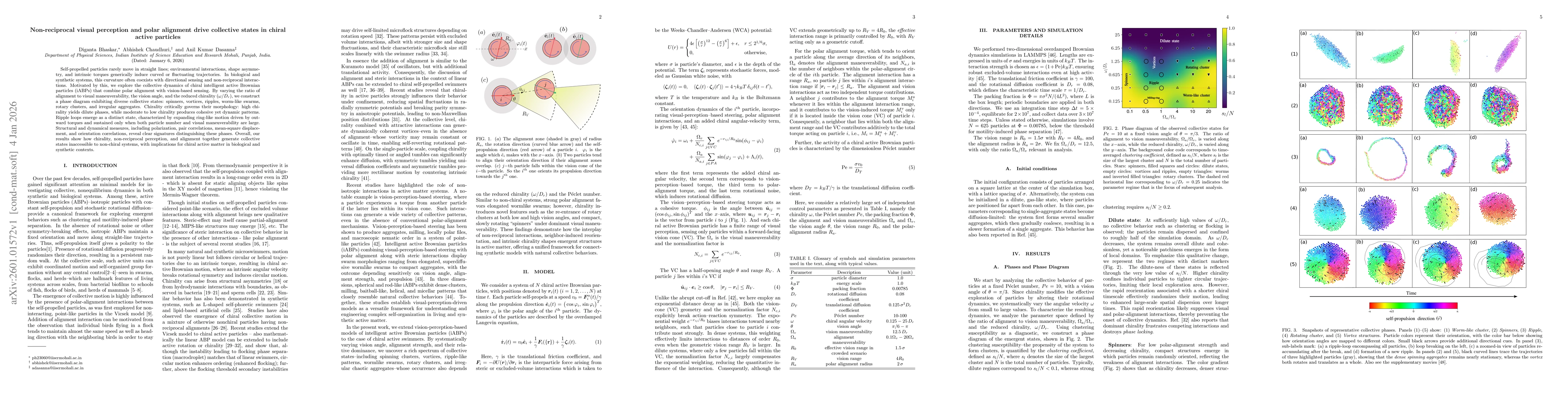 Thumbnail for Non-reciprocal visual perception and polar alignment drive collective states in chiral active particles