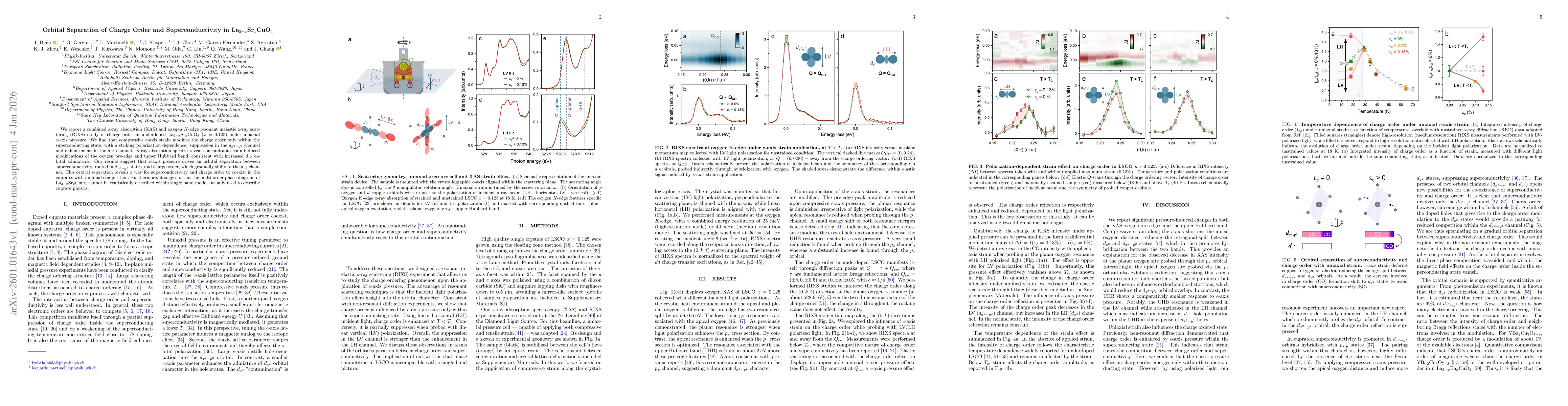 Thumbnail for Orbital Separation of Charge Order and Superconductivity in La$_{2-x}$Sr$_{x}$CuO$_4$