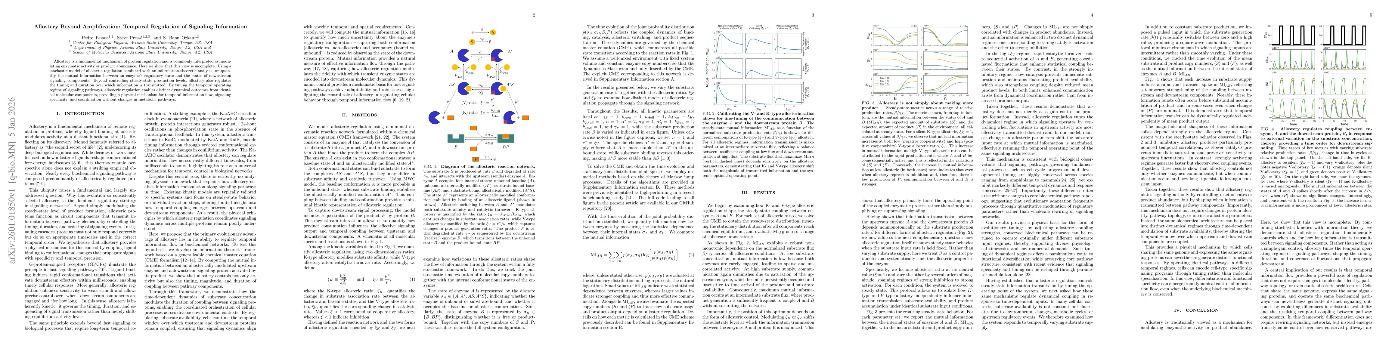 Thumbnail for Allostery Beyond Amplification: Temporal Regulation of Signaling Information