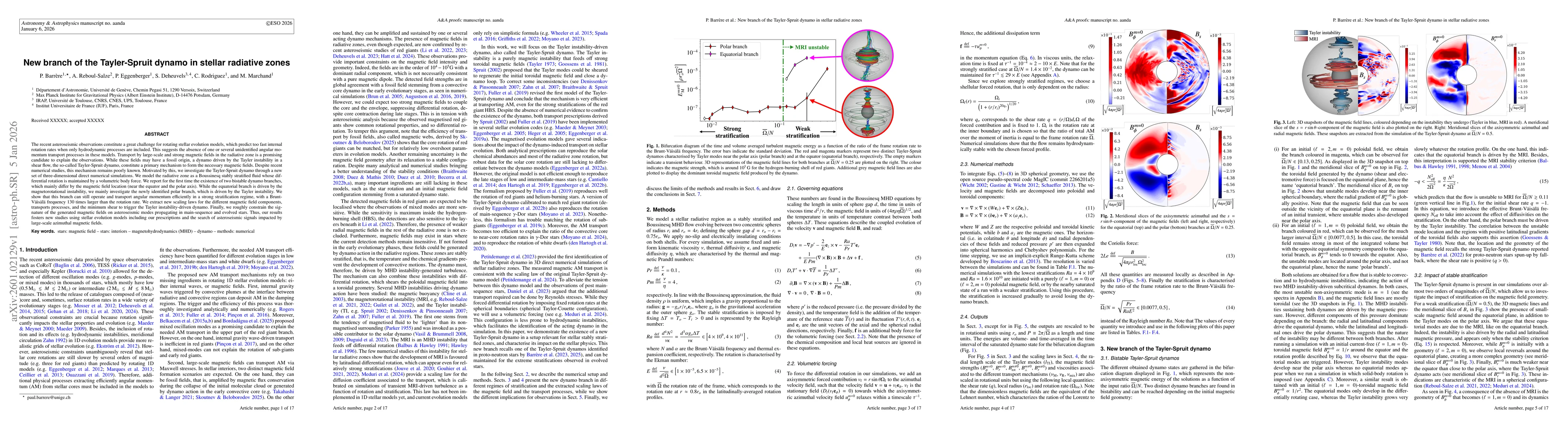 Thumbnail for New branch of the Tayler-Spruit dynamo in stellar radiative zones
