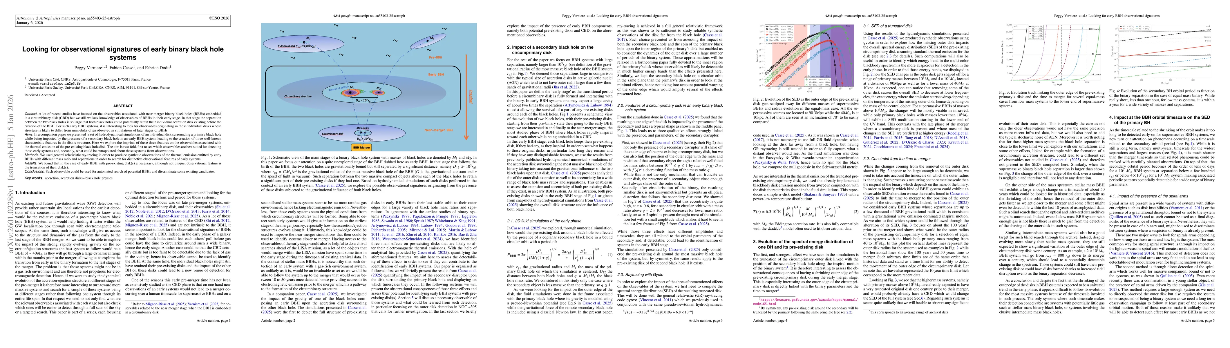 Thumbnail for Looking for observational signatures of early binary black hole systems