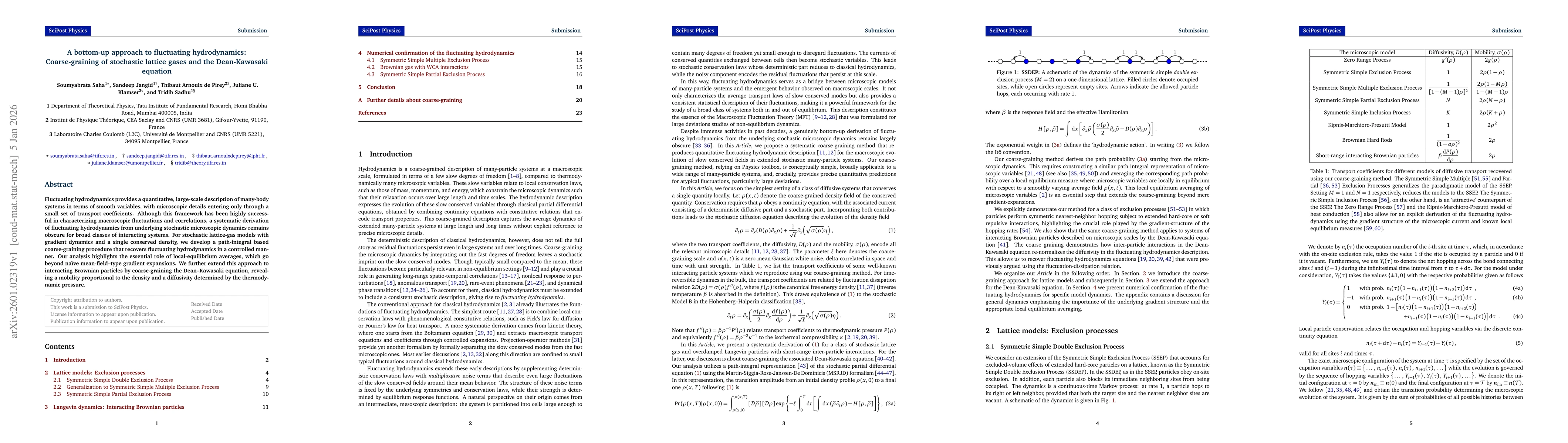 Thumbnail for A bottom-up approach to fluctuating hydrodynamics: Coarse-graining of stochastic lattice gases and the Dean-Kawasaki equation