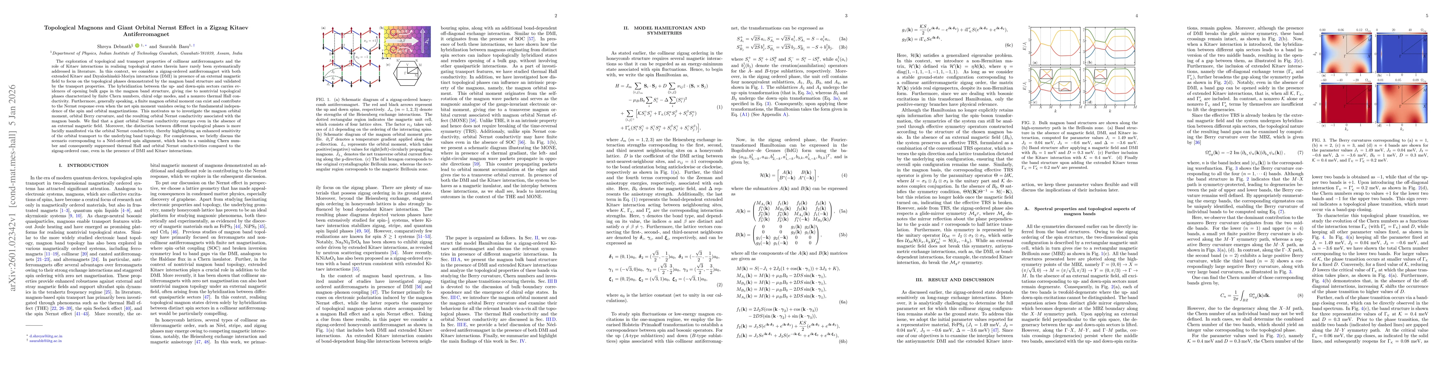 Thumbnail for Topological Magnons and Giant Orbital Nernst Effect in a Zigzag Kitaev Antiferromagnet
