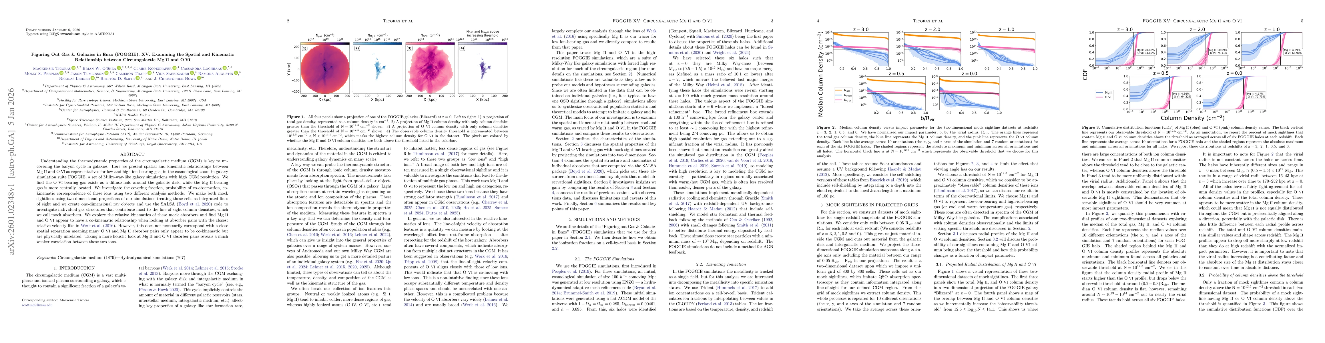 Thumbnail for Figuring Out Gas & Galaxies in Enzo (FOGGIE). XV. Examining the Spatial and Kinematic Relationship between Circumgalactic Mg II and O VI