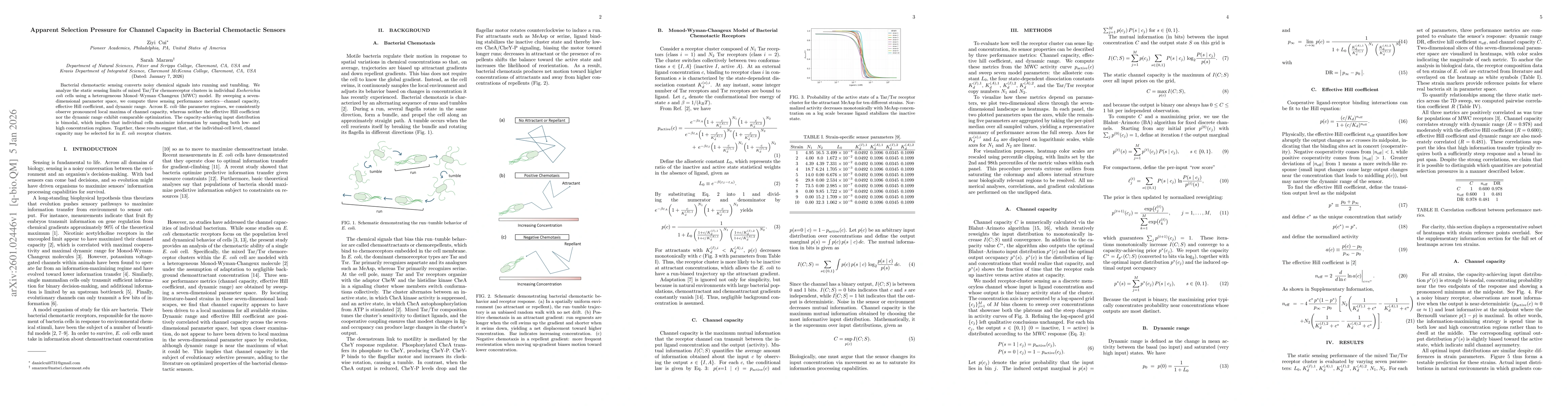 Thumbnail for Apparent Selection Pressure for Channel Capacity in Bacterial Chemotactic Sensors
