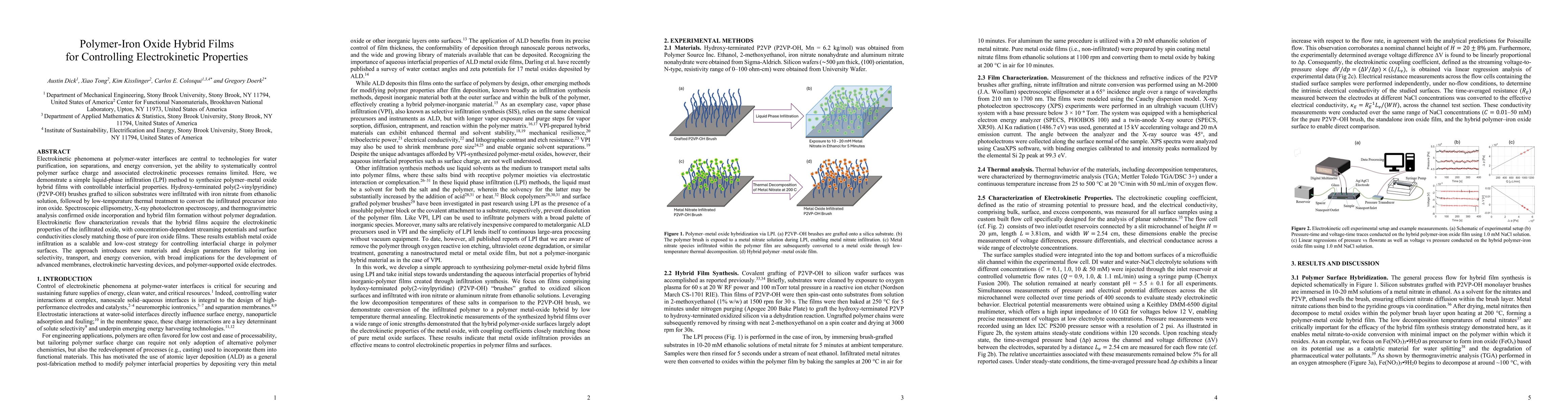 Thumbnail for Polymer-Iron Oxide Hybrid Films for Controlling Electrokinetic Properties