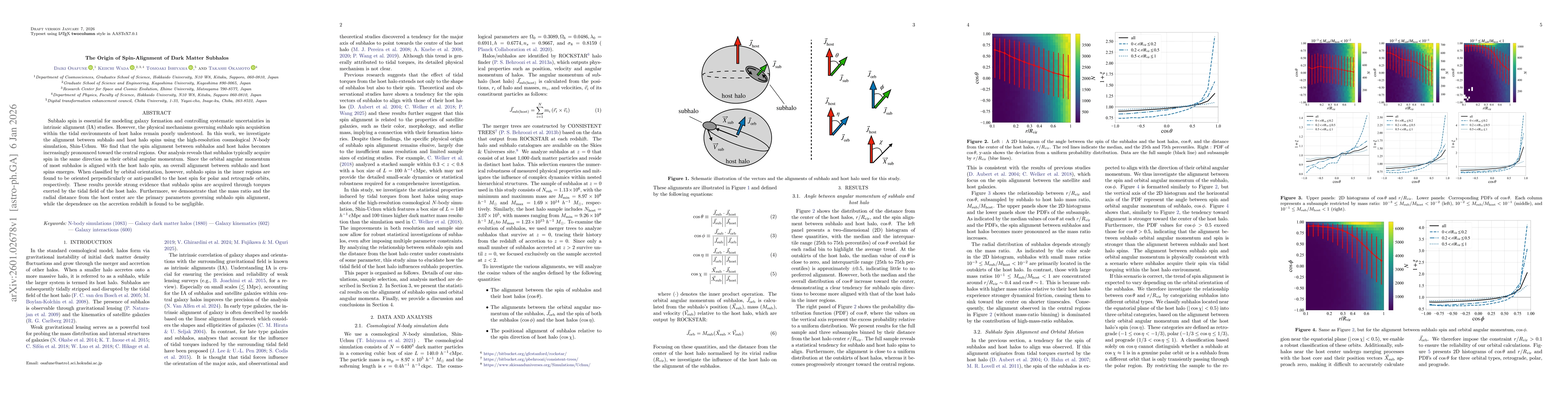 Thumbnail for The Origin of Spin-Alignment of Dark Matter Subhalos