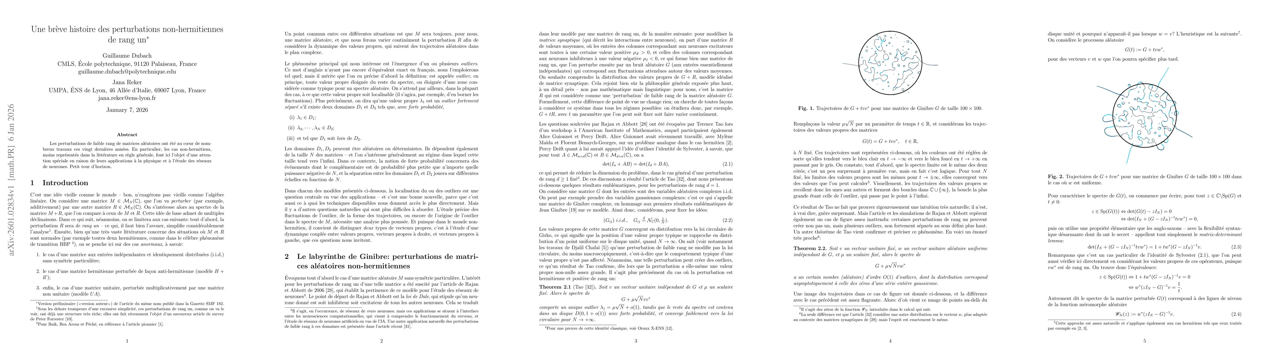 Thumbnail for Une brève histoire des perturbations non-hermitiennes de rang un