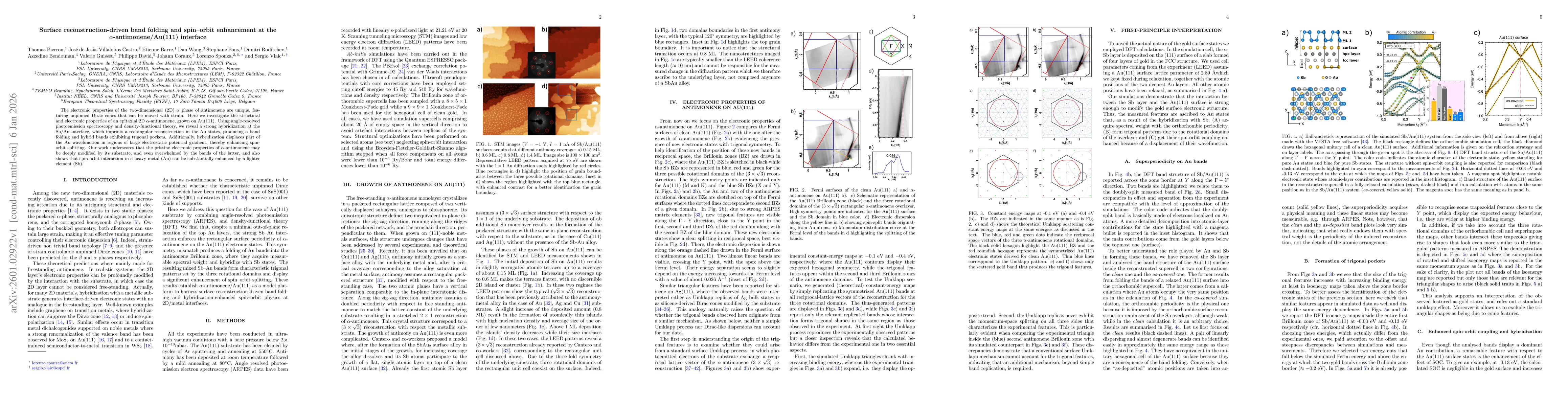 Thumbnail for Surface reconstruction-driven band folding and spin-orbit enhancement at the $α$-antimonene/Au(111) interface