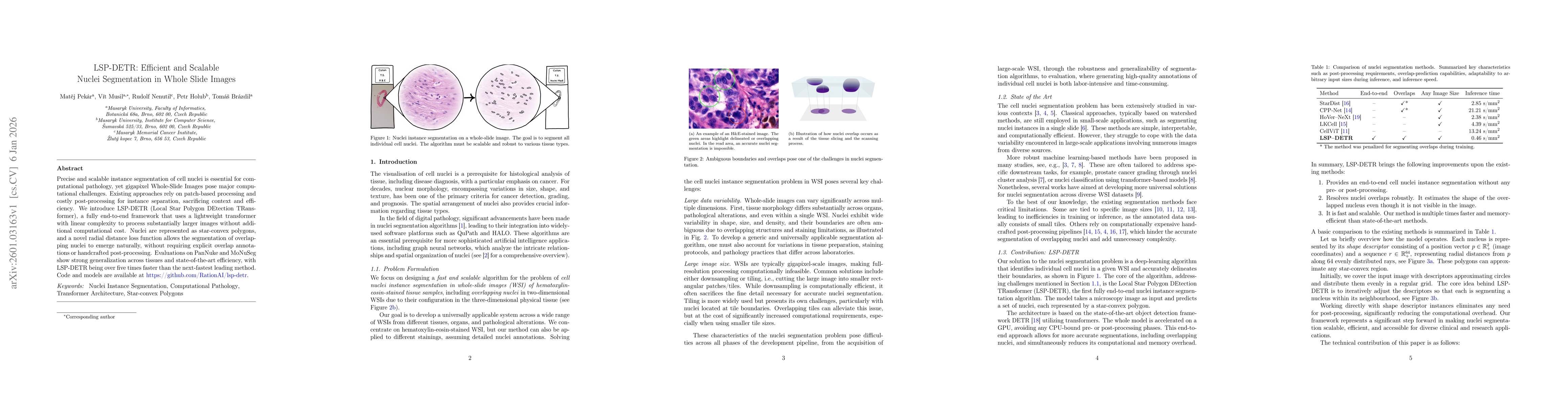 Thumbnail for LSP-DETR: Efficient and Scalable Nuclei Segmentation in Whole Slide Images