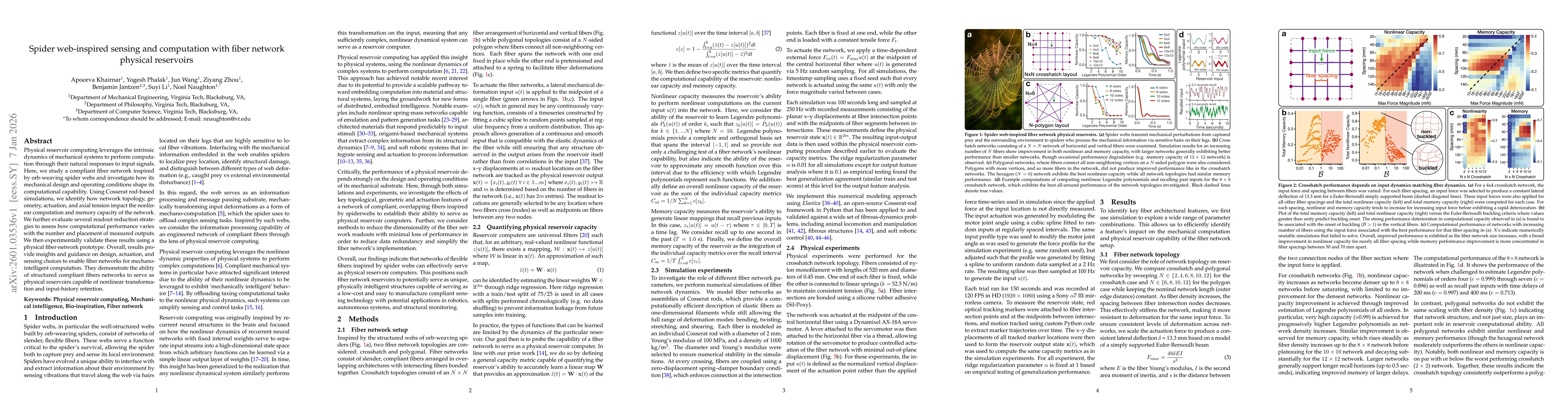 Thumbnail for Spider web-inspired sensing and computation with fiber network physical reservoirs