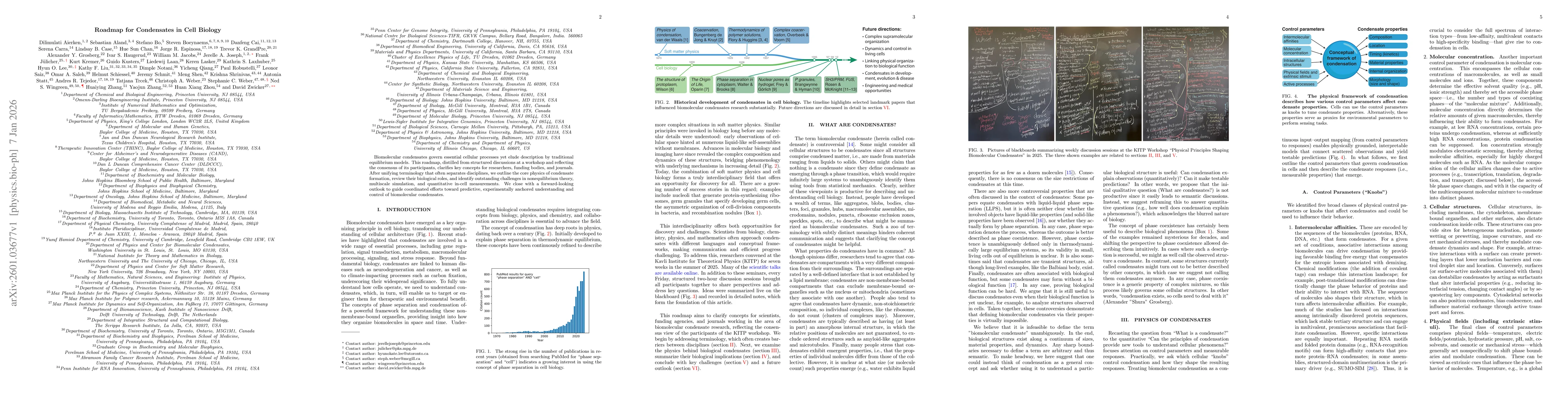 Thumbnail for Roadmap for Condensates in Cell Biology
