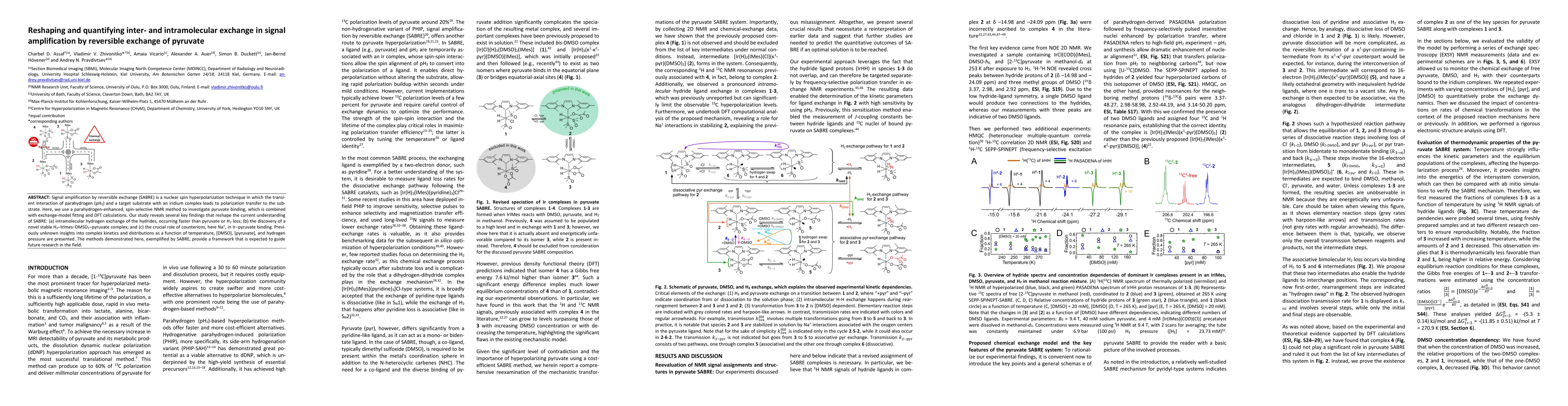 Thumbnail for Reshaping and quantifying inter- and intramolecular exchange in signal amplification by reversible exchange of pyruvate