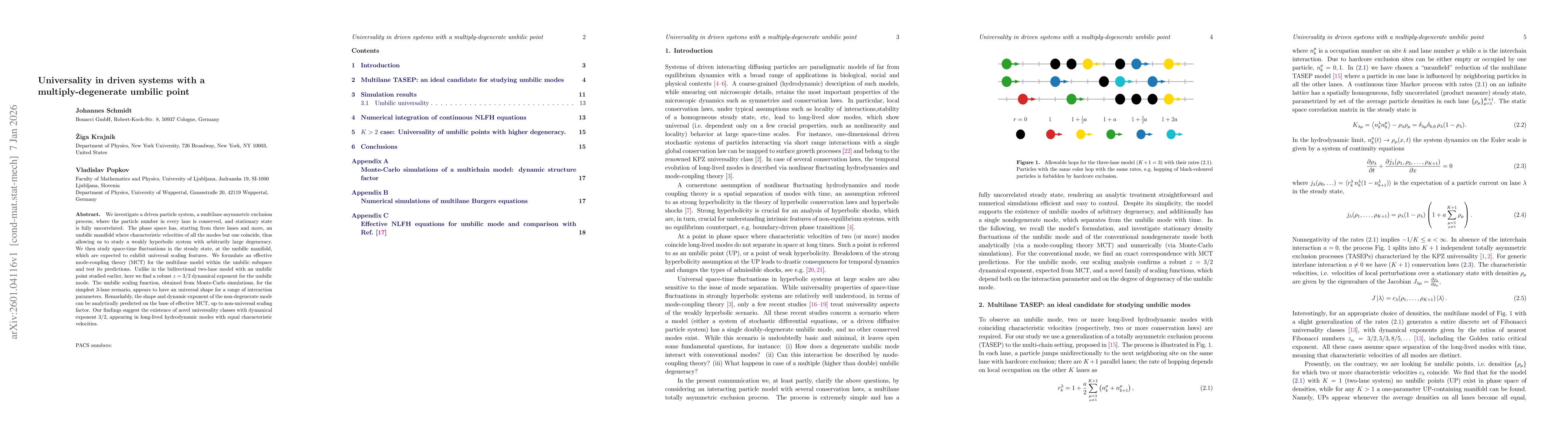 Thumbnail for Universality in driven systems with a multiply-degenerate umbilic point