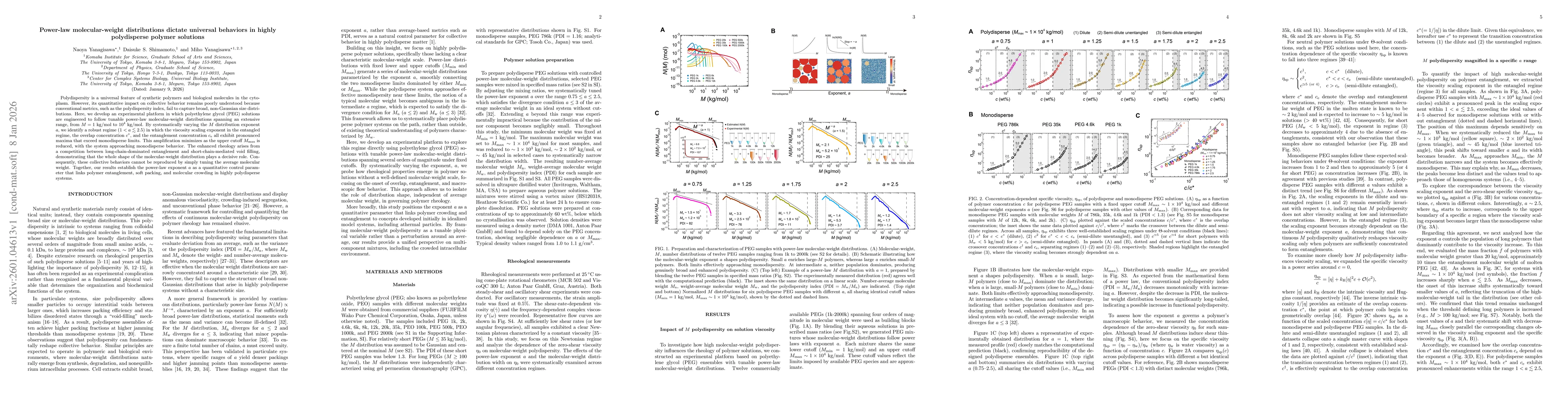 Thumbnail for Power-law molecular-weight distributions dictate universal behaviors in highly polydisperse polymer solutions