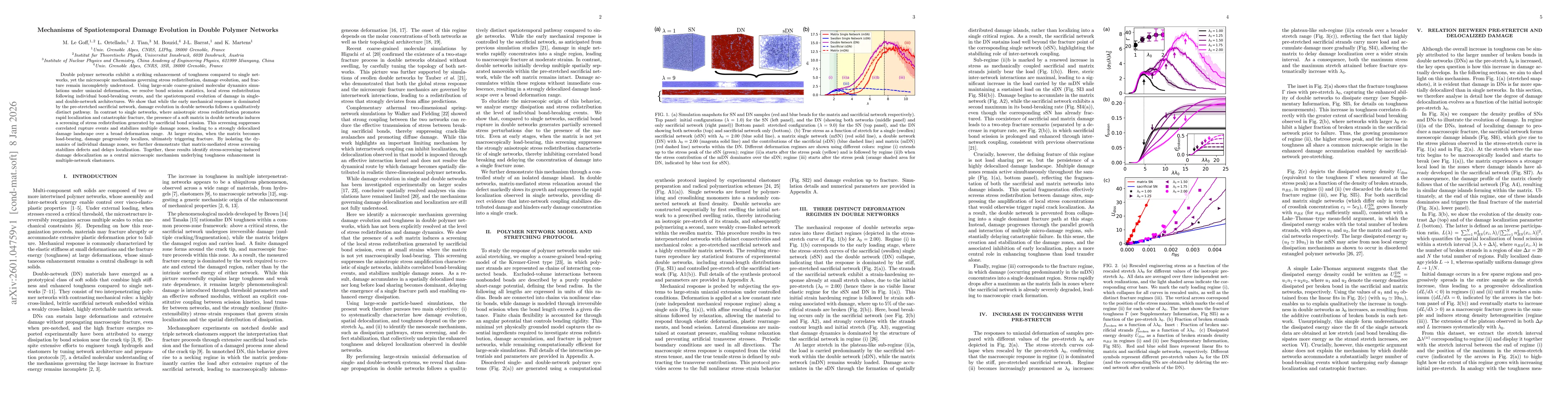 Thumbnail for Mechanisms of Spatiotemporal Damage Evolution in Double Polymer Networks