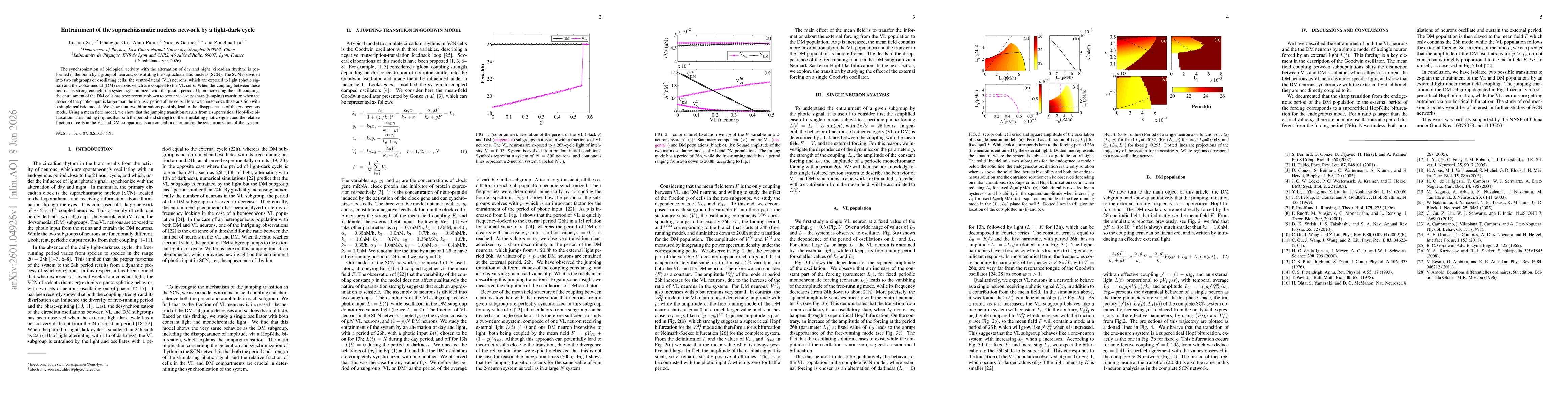 Thumbnail for Entrainment of the suprachiasmatic nucleus network by a light-dark cycle