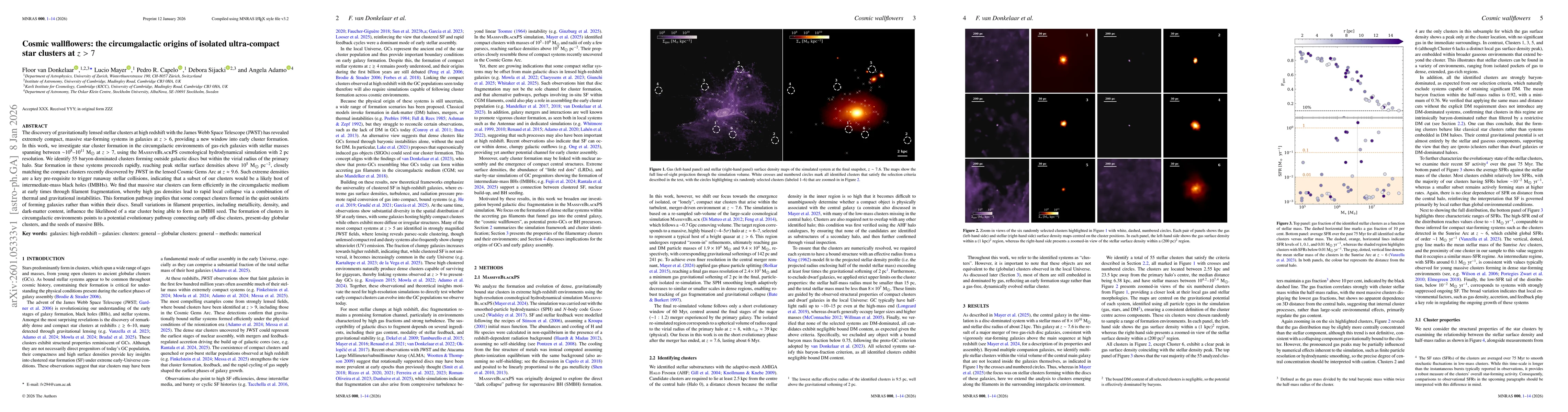 Thumbnail for Cosmic wallflowers: the circumgalactic origins of isolated ultra-compact star clusters at $z>7$
