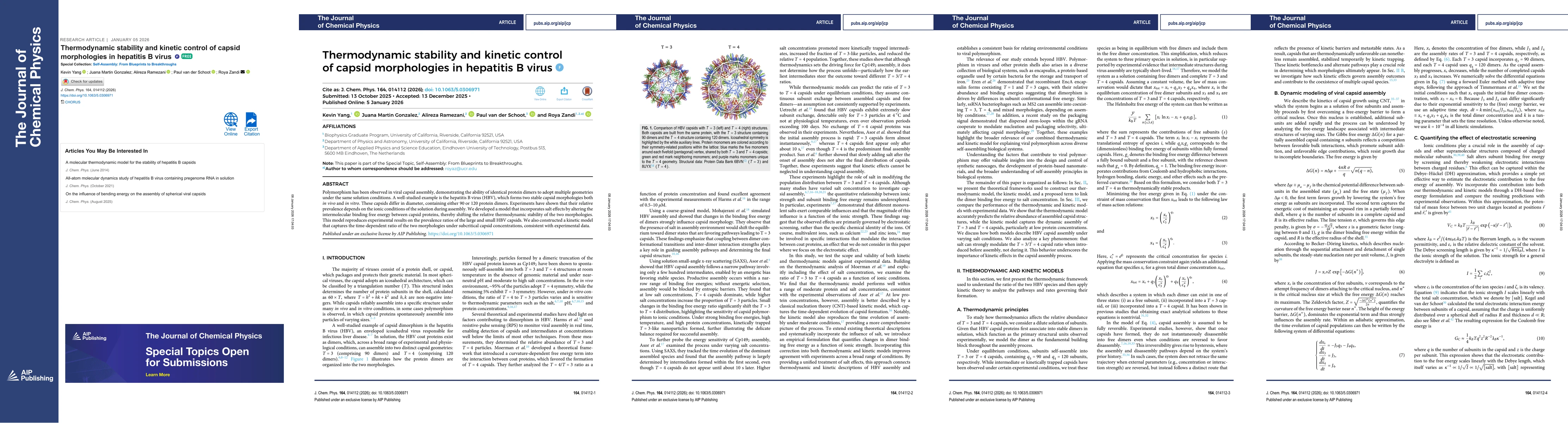 Thumbnail for Thermodynamic stability and kinetic control of capsid morphologies in hepatitis B virus