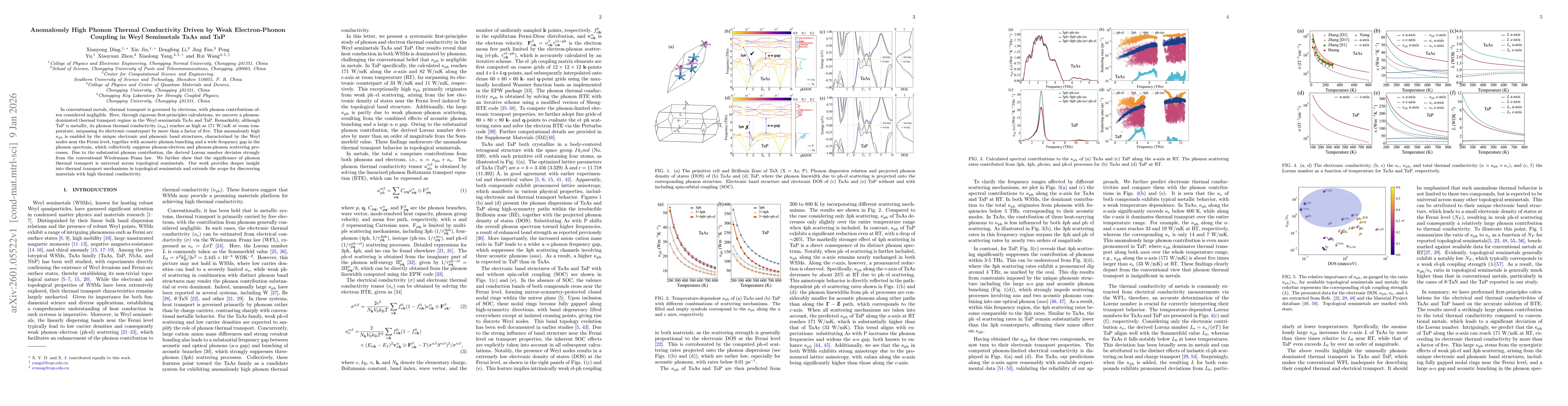 Thumbnail for Anomalously High Phonon Thermal Conductivity Driven by Weak Electron-Phonon Coupling in Weyl Semimetals TaAs and TaP