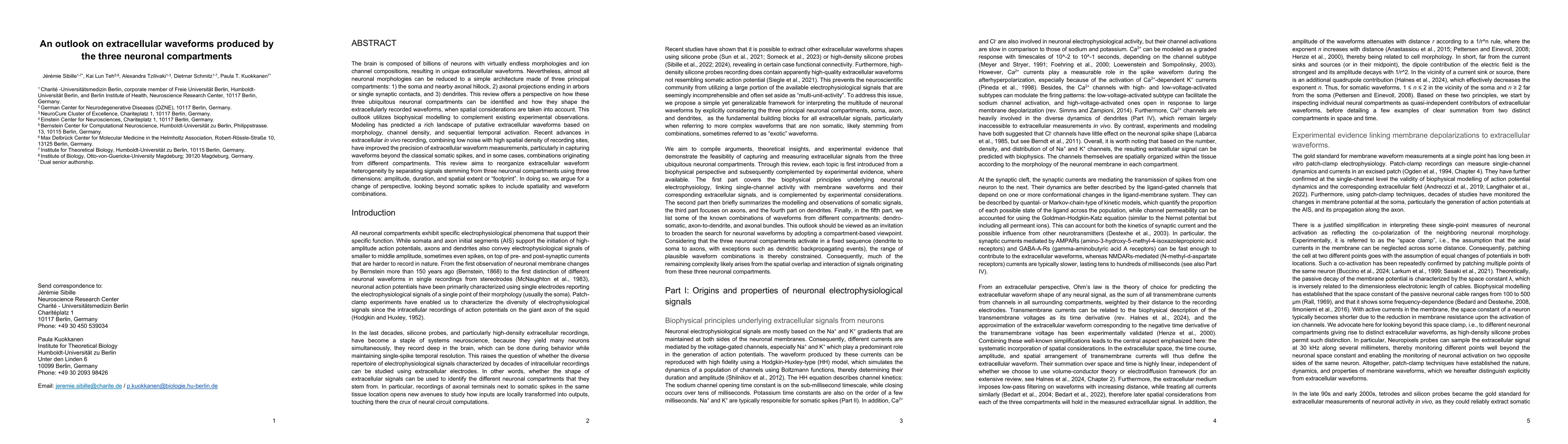 Thumbnail for An outlook on extracellular waveforms produced by the three neuronal compartments