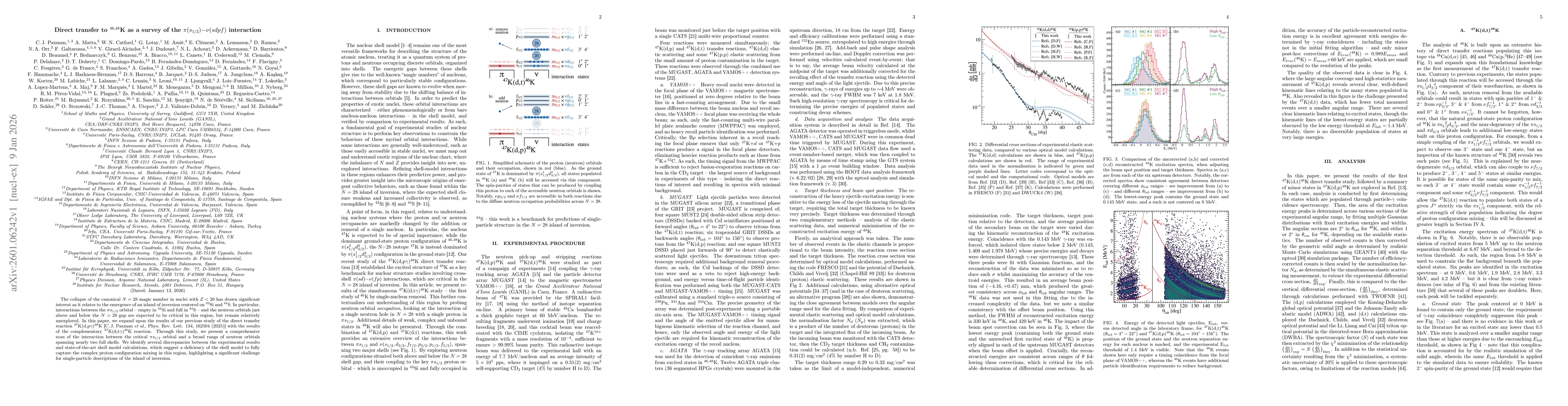 Thumbnail for Direct transfer to $^{46,48}$K as a survey of the $π(s_{1/2})$$-ν(sdpf)$ interaction