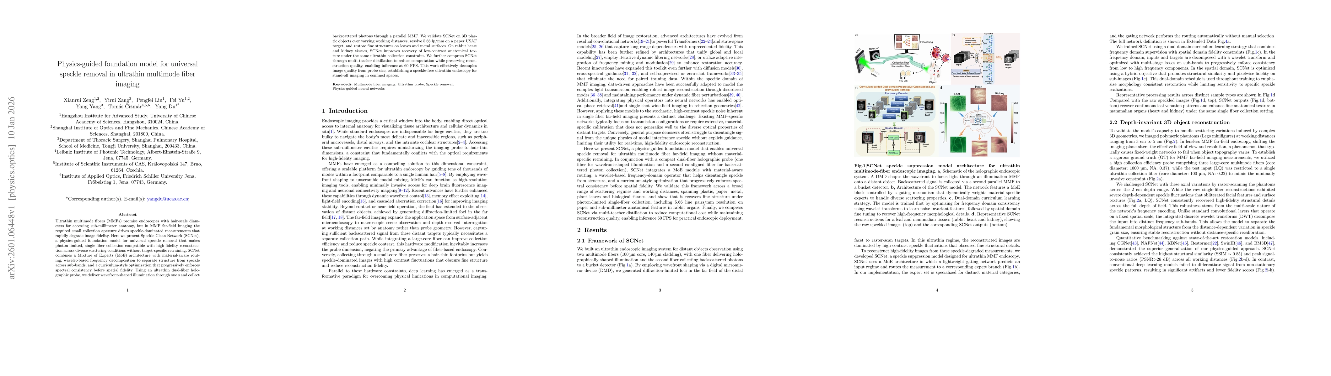 Thumbnail for Physics-guided foundation model for universal speckle removal in ultrathin multimode fiber imaging