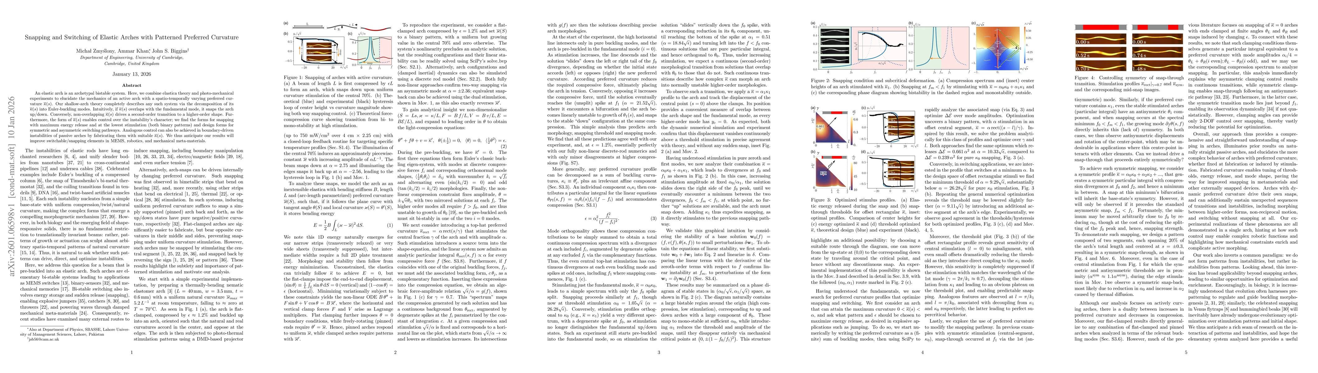 Thumbnail for Snapping and Switching of Elastic Arches with Patterned Preferred Curvature