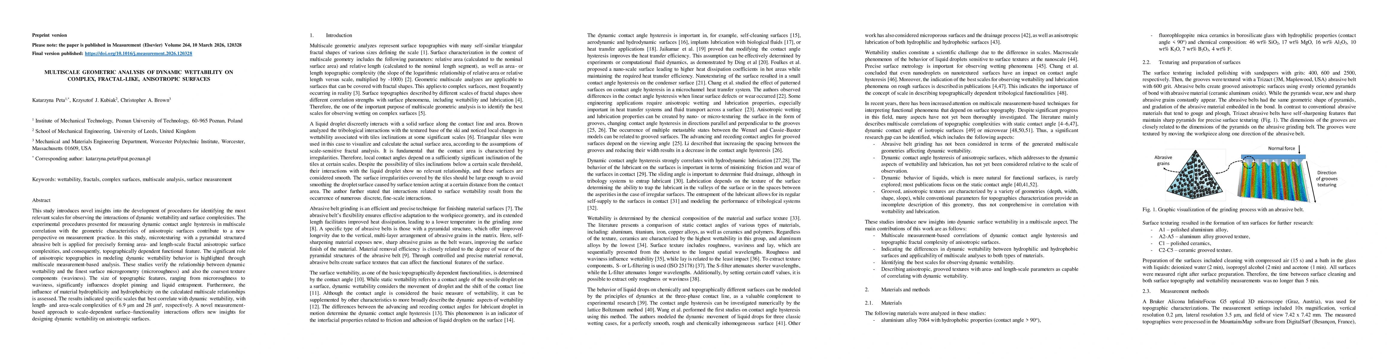 Thumbnail for Multiscale geometric analysis of dynamic wettability on complex, fractal-like, anisotropic surfaces
