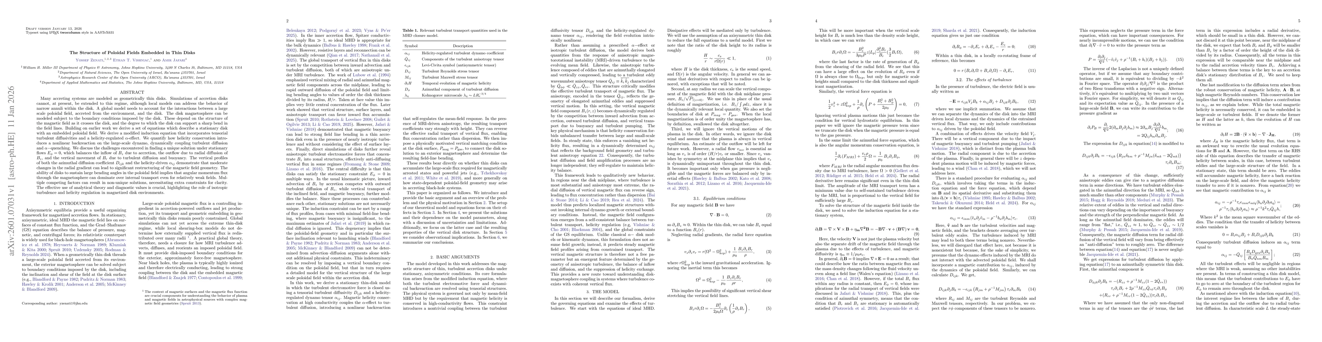 Thumbnail for The Structure of Poloidal Fields Embedded in Thin Disks
