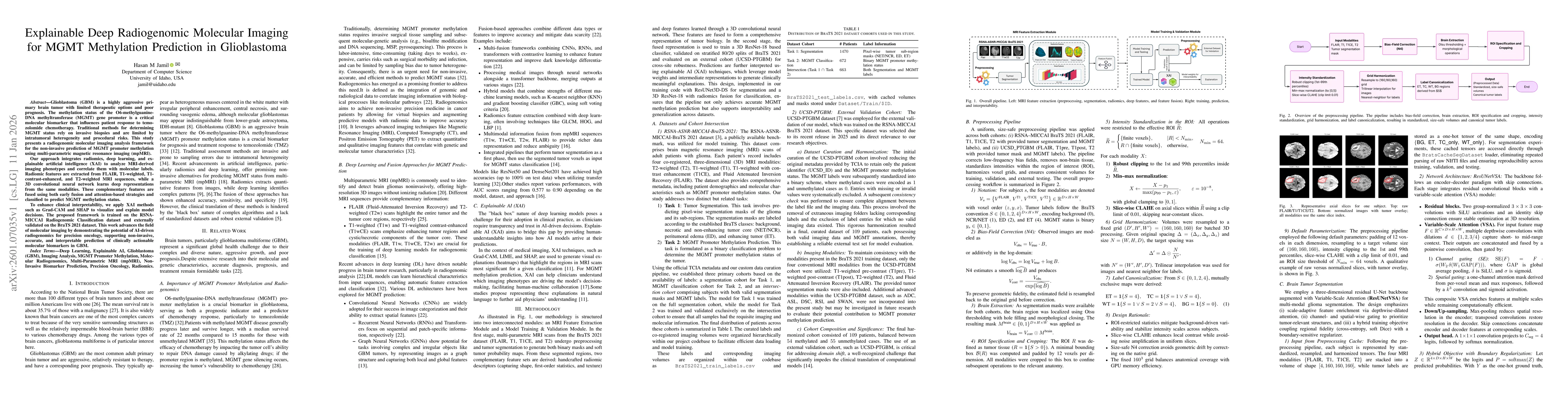 Thumbnail for Explainable Deep Radiogenomic Molecular Imaging for MGMT Methylation Prediction in Glioblastoma