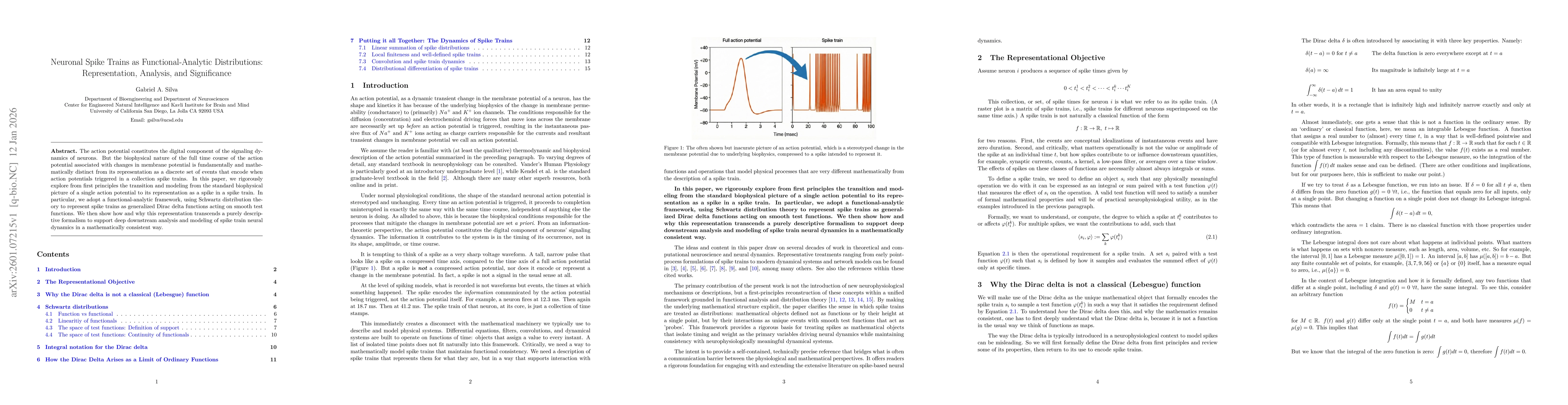 Thumbnail for Neuronal Spike Trains as Functional-Analytic Distributions: Representation, Analysis, and Significance