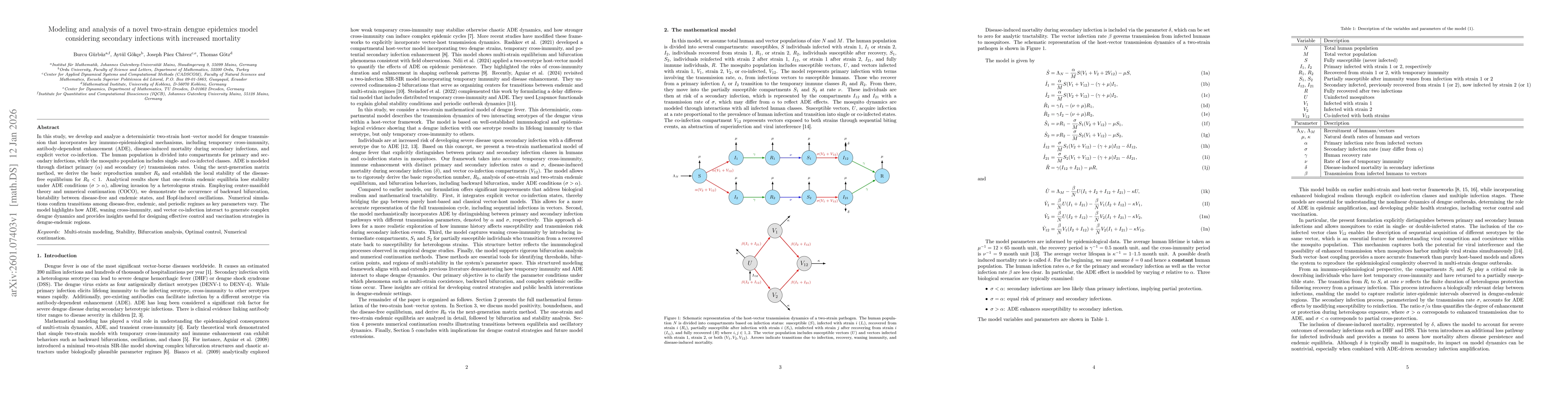 Thumbnail for Modeling and analysis of a novel two-strain dengue epidemics model considering secondary infections with increased mortality