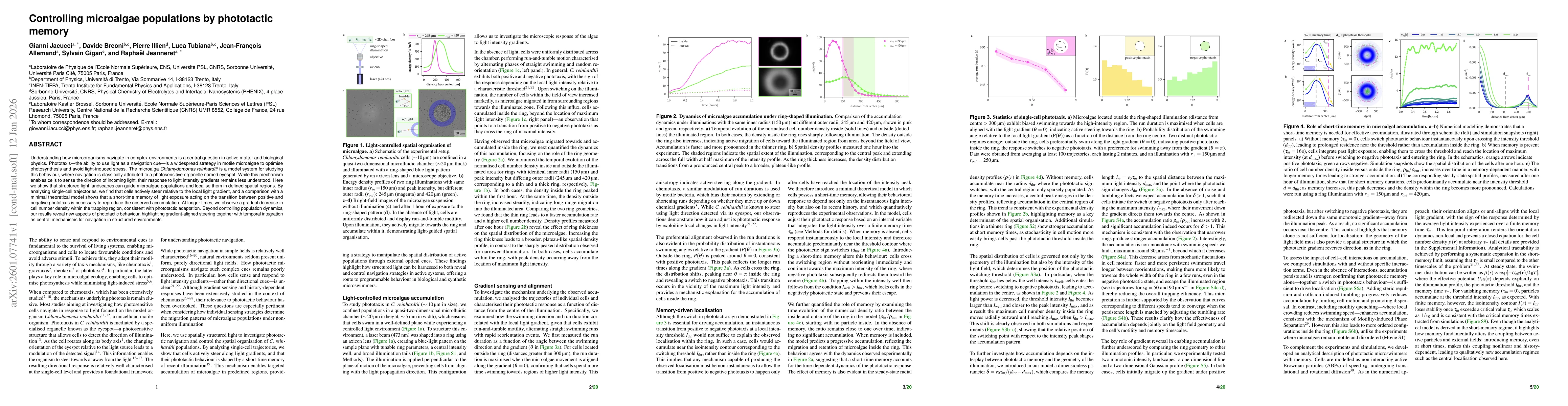 Thumbnail for Controlling microalgae populations by phototactic memory